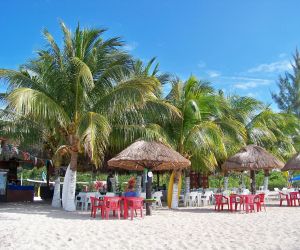   Albertos Beach Cozumel